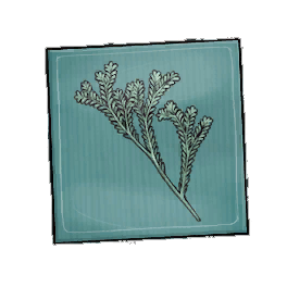 Empress Rosemary Seed Packet