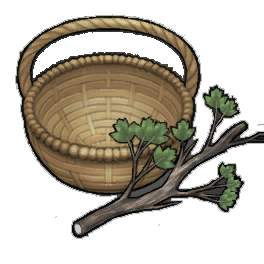 Moderate Maple Branches
