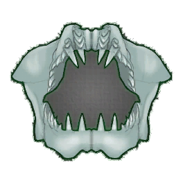 Flawless Shark Jaw (Brewed)