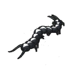 Butler Centipede