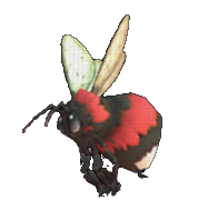 Rubee