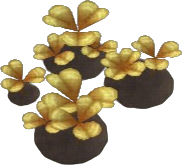 Alsike Clover