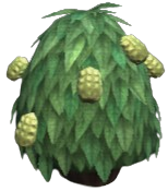 Globular Haleberries