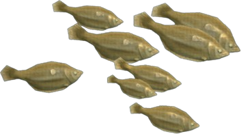 Common Dab