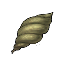 Spiraled Chameleon Plant Seed
