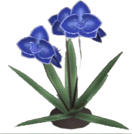 Gravebloom Orchid