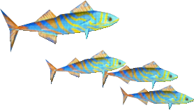 Blue Jack Mackibut