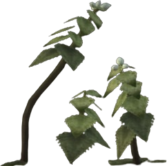 Brightblade Nettle