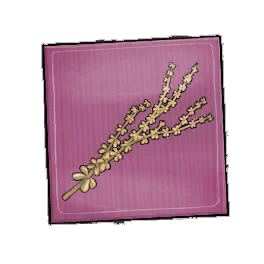 Double Thyme Seed Packet