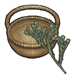 Goze Rosemary