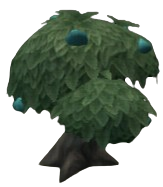 Blue Tangfruit