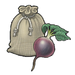 Zing Beetroot (activity)