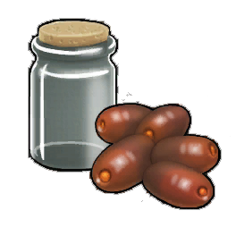 Leccino Olives
