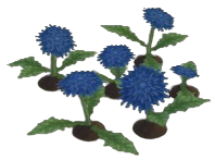 Bluefuzz Dandelion
