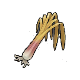 Salubrious Leek