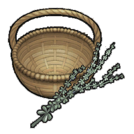 Maxin Thyme (activity)