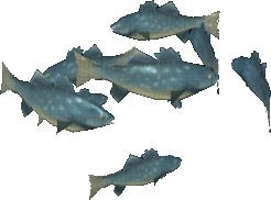 Tsunami Bass