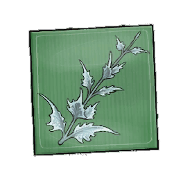 Repast Shadowmint Seed Packet