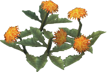 Sunshine Dandelion