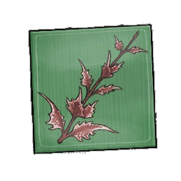 Red Shadowmint Seed Packet