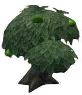 Green Tangfruit