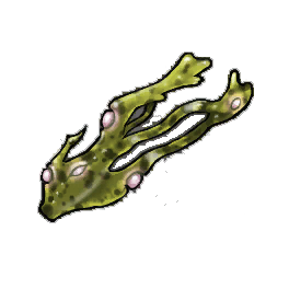 Muscle Wrack
