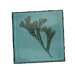 Abliflorus Rosemary Seed Packet