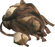 Tan Kelp