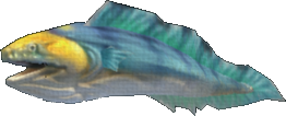 Greater Eel