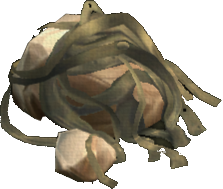 Brown Kelp