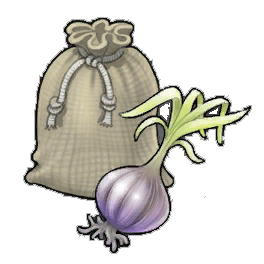 Elephant Garlic