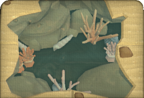Anemone Rock Pool