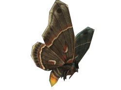 Cave Moth