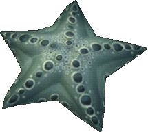 Beaded Starfish