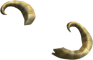 Yellowing Rams Horn