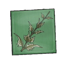 Oakroot Shadowmint Seed Packet