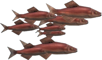 Red Herring