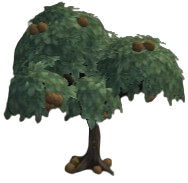 Woodchuck Chestnuts