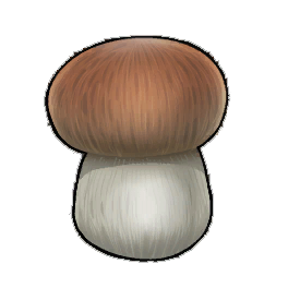 Dorsini Toadstool