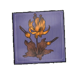 Cocoa Duskbloom Seed Packet