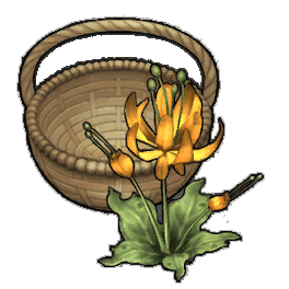 Amber Duskbloom (activity)