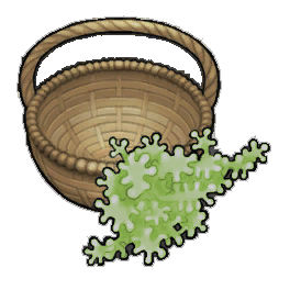 Rubbery Geckoplant (activity)