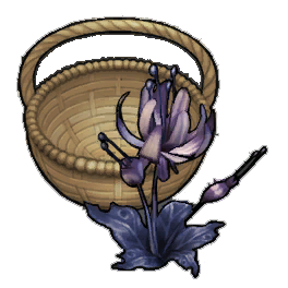 Lost Duskbloom (activity)