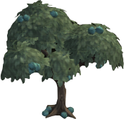 Lowbranch Chestnuts