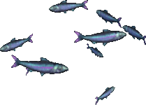 Eminent Sardines