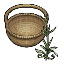 Trim Tarragon
