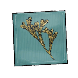 Sepia Rosemary Seed Packet