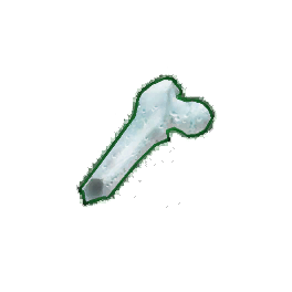 Weathered Femur Shard (Brewed)