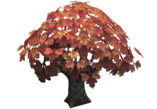 Ash Tree (average)