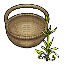 Paragon Tarragon